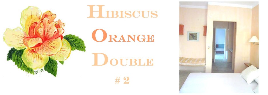 Hibiscus Orange Double